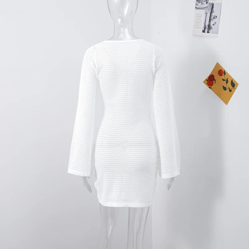 Casual Hollow Out Embroidery Pleated Long Dress Women V-neck Lantern Sleeve Single Breasted Dresses 2025 Summer Lady Chic Robes