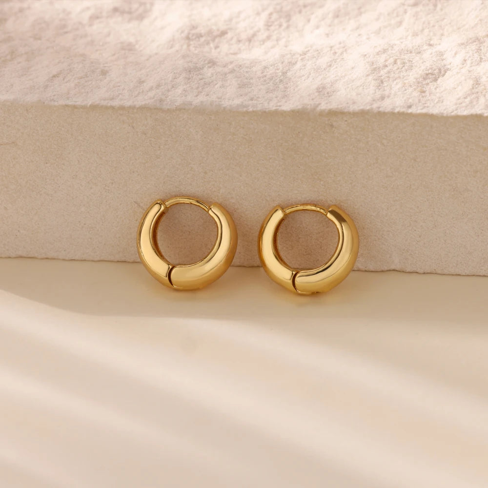 Classic Hoop Earrings for Women Chunky Stainless Steel Gold Color Earring 2025 Trend New in Minimalist Pendientes Jewelry aretes