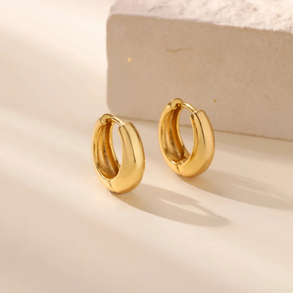 Classic Hoop Earrings for Women Chunky Stainless Steel Gold Color Earring 2025 Trend New in Minimalist Pendientes Jewelry aretes