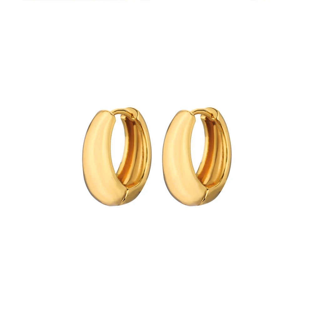 Classic Hoop Earrings for Women Chunky Stainless Steel Gold Color Earring 2025 Trend New in Minimalist Pendientes Jewelry aretes
