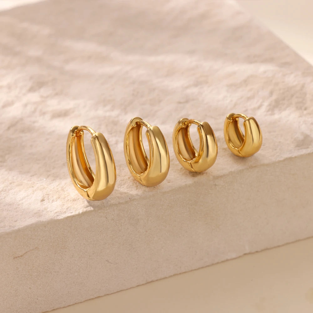 Classic Hoop Earrings for Women Chunky Stainless Steel Gold Color Earring 2025 Trend New in Minimalist Pendientes Jewelry aretes