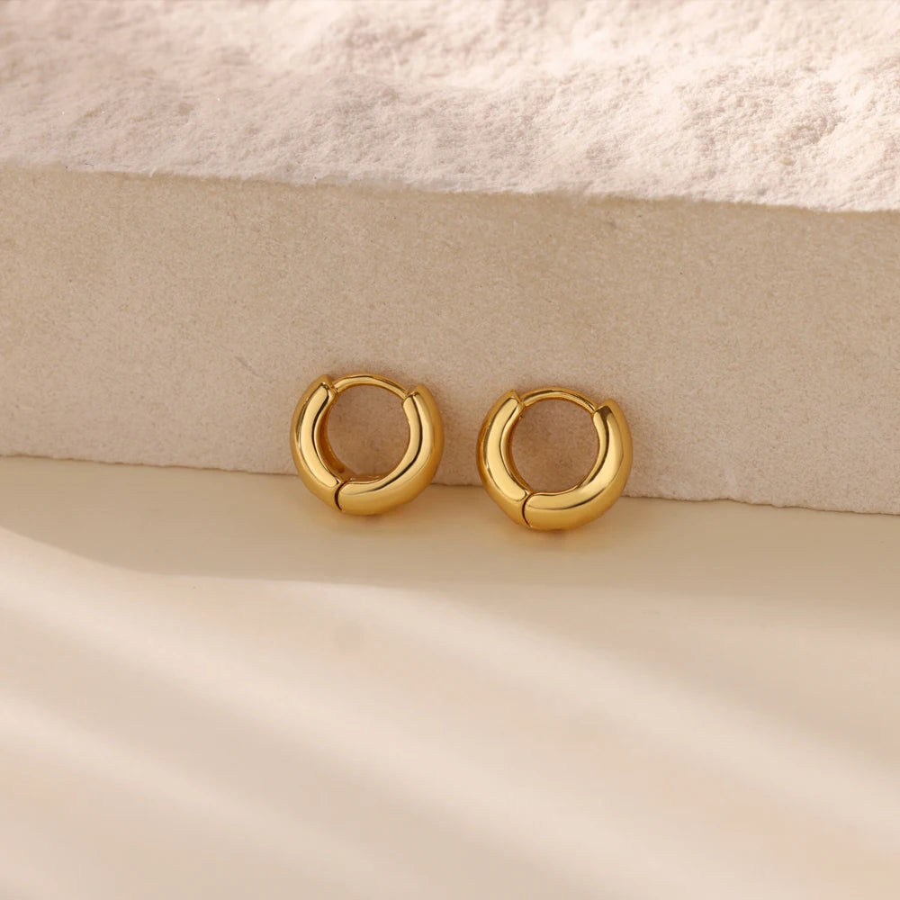 Classic Hoop Earrings for Women Chunky Stainless Steel Gold Color Earring 2025 Trend New in Minimalist Pendientes Jewelry aretes