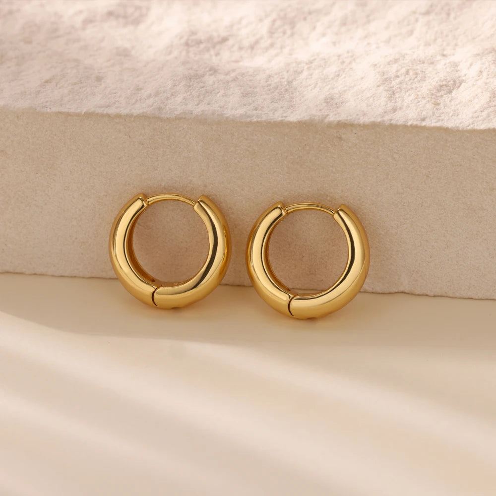 Classic Hoop Earrings for Women Chunky Stainless Steel Gold Color Earring 2025 Trend New in Minimalist Pendientes Jewelry aretes